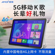 夏新（AMOI） 隨身4G無線流量老人自帶wifi網(wǎng)絡小電視便攜式迷你移動掌上手提看戲視頻機播放器戲曲視頻收音機 22寸64G投屏送3個月無限流量WiFi