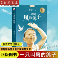 【單本套裝可選】新時(shí)期中國兒童文學(xué)精品文庫全8冊 足球大俠白天鵝咬人的夏天等 三四五六年級小學(xué)生課外閱讀書(shū)籍兒童科幻文學(xué)小說(shuō)故事中國兒童文學(xué)書(shū)校園幻想小說(shuō) 浙江文藝出版社 一只叫鳳的鴿子