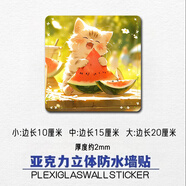 無(wú)品牌補洞堵窟窿墻貼墻洞遮擋裝飾品墻面破損補丁遮丑貼紙網(wǎng)紅3d亞克 方形貓貓D 小