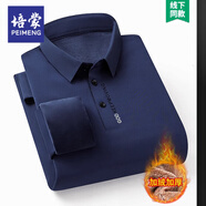 培蒙春秋季桑蠶絲長袖t恤男中年翻領(lǐng)冰|絲男士POLO衫免燙抗皺爸爸上衣 上青 加絨 165/M