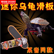 駱?lè )[豆烏龜小滑板車(chē)手指指尖迷你玩具鸚鵡滑板模型掛件同款網(wǎng)紅寵物 (1個(gè)裝)丨小號-9CM-手指滑板