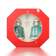 瀘州老窖（LUZHOULAOJIAO）酒 瀘州老窖原釀天典 濃香型白酒禮盒 婚宴送禮宴請(qǐng)佳品 52度 500mL 2瓶 飲河山