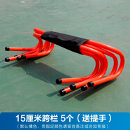 AOLY 足球訓(xùn)練器材標(biāo)志桶物籃球障礙物訓(xùn)練錐跆拳道訓(xùn)練器材 15厘米小跨欄5個