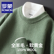 羅蒙（ROMON）100%純羊毛絨針織衫男士圓領(lǐng)斜紋毛衣男寬松秋冬休閑商務(wù)保暖打底 豆綠色 L碼