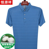 恒源祥醋酸桑蠶絲短袖T恤男中年夏季男裝寬松翻領(lǐng)條紋半袖體恤Polo汗衫 101766天空蘭 170