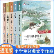 套裝5冊(cè) 曹文軒畫本集 一頭特別牛的牛+雪燈籠+太陽熄滅了+三角地咖啡館 +阿龍像一個(gè)幽靈 曹文軒畫本曹文軒小說集小學(xué)生必讀課外閱讀書籍