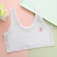 蘿蜜兔女童發(fā)育期內衣少女夏季薄款網(wǎng)眼透氣小背心7-14歲學(xué)生運動(dòng)文胸 灰色 均碼 L 【60-90斤可穿】