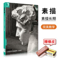 【現(xiàn)貨速發(fā)】完美教學(xué)系列叢書素描長(zhǎng)期幾何形體素描靜物石膏像素描基礎(chǔ)入門教程高藝聯(lián)考美術(shù)書