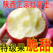 【脆甜現(xiàn)發(fā)】陜西紅富士蘋果當(dāng)季新鮮冰糖心脆甜丑蘋果水果一整箱 含箱1斤（嘗鮮不推薦）看清楚拍