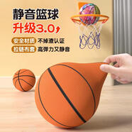 爸爸媽媽靜無(wú)聲音籃球皮球兒童玩具3-6歲室內拍拍球7號運動(dòng)器材男孩禮物
