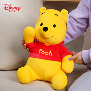 迪士尼（Disney）毛絨玩具維尼熊公仔抱枕六一兒童節(jié)禮物送情人節(jié)禮物女生生日禮物女 15號小熊維尼清新款