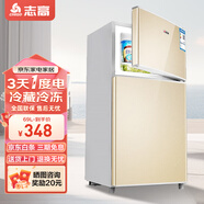 志高冰箱小型雙門(mén)迷你小冰箱 家用租房雙開(kāi)門(mén)電冰箱 節能兩門(mén)冰箱 69A158L香檳金-一級能效