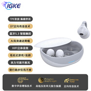 IGKE真無線夾耳式藍(lán)牙耳機K23不入耳2024新款開放式掛耳運動跑步長續(xù)航無線適用蘋果華為vivo小米oppo 灰藍(lán)色