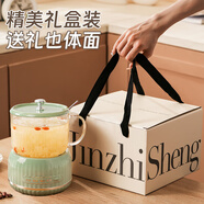 禾伴感恩節(jié)禮物實(shí)用養(yǎng)生壺伴手禮盒定制生日禮物女送女朋友老婆閨蜜 智能綠色保溫?zé)Y盒白0.6L 黨員紀(jì)念品辦公室一人用電燉杯