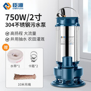 臣源潛水泵220V家用水井水抽水泵不銹鋼農用小型污水泵灌溉澆菜高揚程 750W/2寸污水泵+10米線(xiàn)+10米水帶