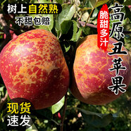 丑蘋果水果新鮮10斤大涼山鹽源蘋果當(dāng)季整箱孕婦冰糖心正宗紅富士 9斤 JD快遞送貨上門（套袋果） 80-85mm(不含) 大果 更大更甜