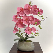 綠秀 年宵花卉蝴蝶蘭仿真花套裝客廳落地假花盆栽臥室擺件塑料花植物 粉紅色蝴蝶蘭套裝