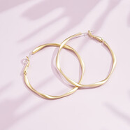 海雯妮 飾品耳環(huán)女耳飾 夸張大圓圈耳圈簡(jiǎn)約個(gè)性韓國網(wǎng)紅高級感氣質(zhì)配飾裝飾 【小號】亞光金色