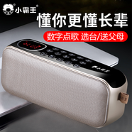 小霸王廣場(chǎng)舞音響藍牙收音機老人專(zhuān)用高端便攜式多功能充電收音插卡U盤(pán)播放器小型大音量聽(tīng)音樂(lè )評書(shū)戲曲 香檳金【FM收音機+藍牙音箱】