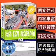 【包郵】獸醫(yī)養(yǎng)殖技術(shù)書籍大全動物營養(yǎng)與飼料學(xué)動物醫(yī)學(xué)畜牧獸醫(yī)專業(yè)教材籠養(yǎng)鳥鸚鵡百靈鳥鵪鶉鴕鳥大雁信鴿飼養(yǎng)管理繁殖技術(shù) 肉鴿 信鴿 觀賞鴿養(yǎng)殖技術(shù) 定價25.8