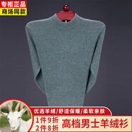 鄭爾丹斯特鄂爾多市產(chǎn)羊毛衫男半高領(lǐng)加厚毛衣中青年男士純色凈版針織打底衫 亮苔綠 L 【175/92A】140斤-155斤