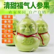 人參果新鮮水果人形福娃香瓜甜瓜制作娃娃貢果禮品非云南創(chuàng  )意禮品 禮盒8個(gè)裝