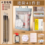 蘇拉達(dá)（Surada）國(guó)畫(huà)顏料 中國(guó)畫(huà)顏料國(guó)畫(huà)顏料套裝初學(xué)學(xué)生兒童水墨畫(huà)山水工筆畫(huà)套裝 12色6ML手提袋套裝sd149