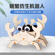 大眼小娃螃蟹機器人steam科學(xué)小實驗套裝兒童DIY手工制作玩具孩子生日禮物