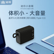 朗琴（ROYQUEEN）G30無線藍(lán)牙音箱小型重低音炮大音量高音質(zhì)插卡便攜式戶外運(yùn)動跑步音樂播放器新款防水迷你小音響 遂夜黑 官方標(biāo)配 音箱+充電線+便攜掛扣