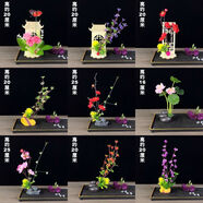 文手酒店意境菜品冷菜盤(pán)飾餐飲刺身擺盤(pán)裝飾花草高檔盤(pán)花壽司點(diǎn)綴花 套餐二[9款混搭]