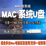 macOS Catalina10.15 Big sur蘋(píng)果系統U盤(pán) 雙系統多分區安裝恢復啟動(dòng)重裝升級 Mac+Win定制二合一