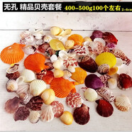藍(lán)海精靈天然大海螺貝殼海星打孔 水族小魚缸造景裝飾底砂過濾造景裝飾擺 100只天然混搭貝殼套裝