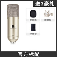 ICON M1艾肯大振膜電容麥克風(fēng)專(zhuān)業(yè)直播唱歌設備話(huà)筒錄音主播專(zhuān)用 官方標配送防震架+防風(fēng)棉不帶線(xiàn)