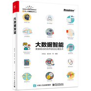 大數(shù)據(jù)智能：數(shù)據(jù)驅(qū)動的自然語言處理技術(shù)(博文視點(diǎn)出品)（ChatGPT背后核心技術(shù)）  deepseek教程