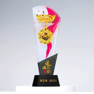 新款退伍軍人紀念品定制水晶獎杯彩印創(chuàng)意個人頭像制作送戰(zhàn)友兄弟老兵退役聚會留念禮物軍旅禮品定做刻字訂制 02款 275*97*55