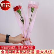 領(lǐng)香鮮花速遞單支玫瑰花束康乃馨公司活動(dòng)商務(wù)用花全國同城配送 單支康乃馨（20支起送，單拍不發(fā)貨）
