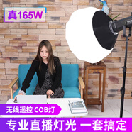 攝影怪兵器 hakutatz HK-165W直播補(bǔ)光燈攝影主播美顏打光柔光常亮兒童拍照人像服裝視頻錄制攝影棚燈箱器材