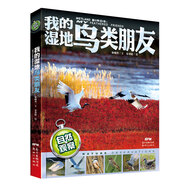 自然觀察 我的濕地鳥類朋友