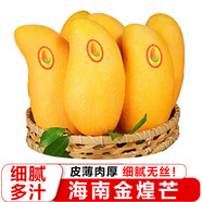 海南金煌芒9斤芒果熱帶水果現(xiàn)摘甜心黃皮水仙芒整箱 5斤特大果【單果500g+】