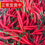 辰實(shí)【現摘】新鮮青辣椒 特辣 小米辣椒 青朝天椒 超辣生小青辣椒 3斤 （紅小米辣）