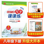 華夏萬卷 八年級下冊語文同步練字帖 初中生同步寫字課課練 2025春新初二RJ人教版正楷書法練字本 天天練田字格生字抄寫本 中考字詞句練習字帖（共2冊）