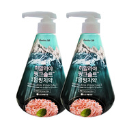 竹鹽進(jìn)口LG竹鹽喜馬拉雅鹽粉鹽按壓式牙膏 清幽花香亮白清新口氣異味 285g*2冰澈薄荷