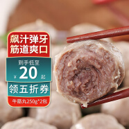 喜得佳牛筋丸250g*2  潮汕手打牛肉丸子 火锅食材丸料关东煮麻辣烫烧烤