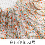 程寶寶人造棉布料新品布人造棉布料棉綢布料夏季連衣裙服裝綿綢面料2024 數(shù)碼印花52號(半米價)