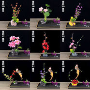 文手酒店意境菜品冷菜盤飾餐飲刺身擺盤裝飾花草高檔盤花壽司點(diǎn)綴花 套餐五[9款混搭]