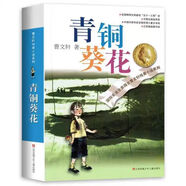 飛過(guò)城市的野鴿偷劇本的學(xué)徒點(diǎn)亮小橘燈美麗的西沙群島青銅葵花 青銅葵花