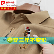 皮爾卡丹（pierre cardin）【易穿搭】美式短袖男商務(wù)高端t恤男常規(guī)袖休閑大馬標(biāo)帶領(lǐng)中年 卡其色 XL 52/175 適合140-160斤