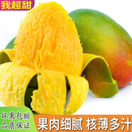 集年鮮攀枝花凱特芒果當季熱帶甜心多汁 新鮮水生鮮果整箱節日送禮 凈重4.5斤（單果300克起）