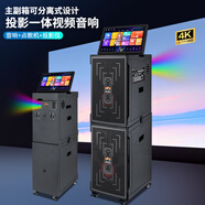 山凌影K22號卡拉OK音響線(xiàn)陣投影KTV點(diǎn)歌一體機雙12寸大功率SL-3022廣場(chǎng)舞戶(hù)外K歌音箱 黑色