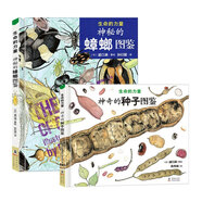 生命的力量(精裝2冊 神奇的種子圖鑒+神秘的蟑螂圖鑒 2021大鵬自然童書獎百強(qiáng)作品,自然科學(xué)繪本大師、博物學(xué)家盛口滿寫給孩子的生命簡史,附贈大幅精美導(dǎo)讀)